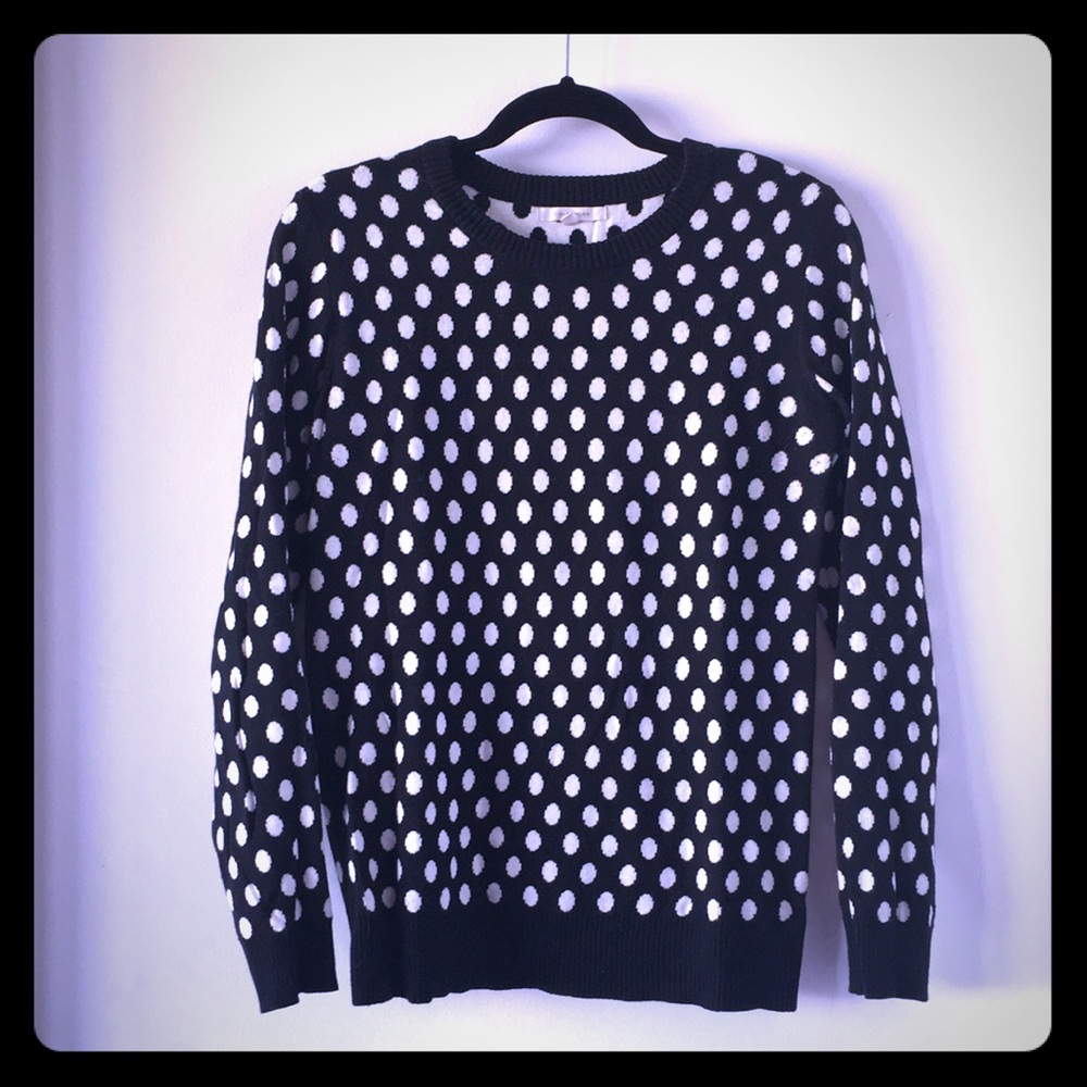 41 Hawthorn small polka dot crewneck sweater